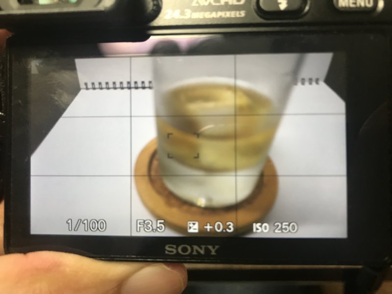 α6000　構図のガイド線